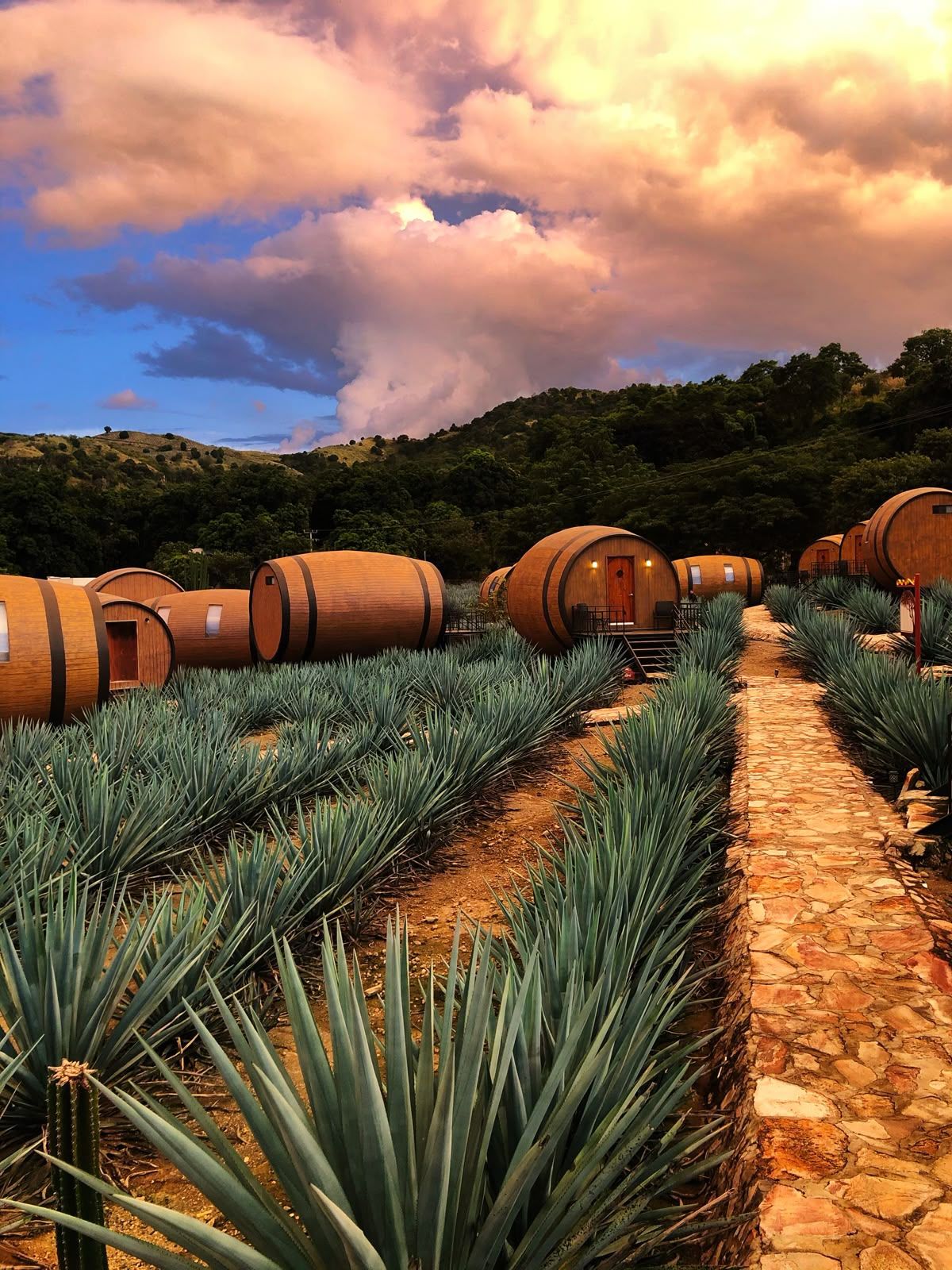 ¿PIENSAS VIAJAR A MÉXICO ESTE 2026?, ESTO ES LO QUE TIENES QUE SABER... - imagen 3